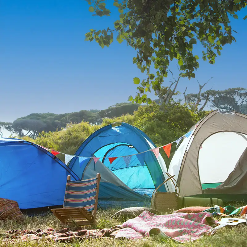 Blaue Zelte auf der Wiese beim Camping am Schnackensee unter blauem Himmel.